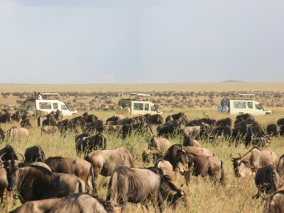 kenyaandtanzaniatours