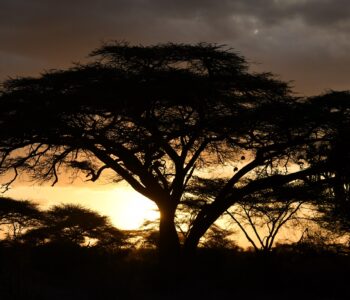 11 soleil couchant réserve de Buffalo Springs à 18 h 05